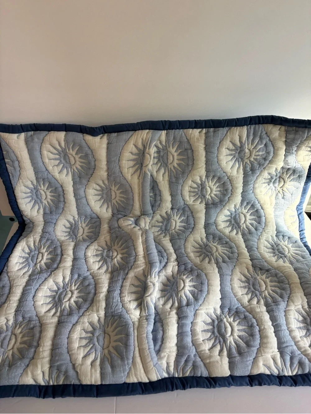 NWOT Anthropologie Nelly Icon Euro Sham